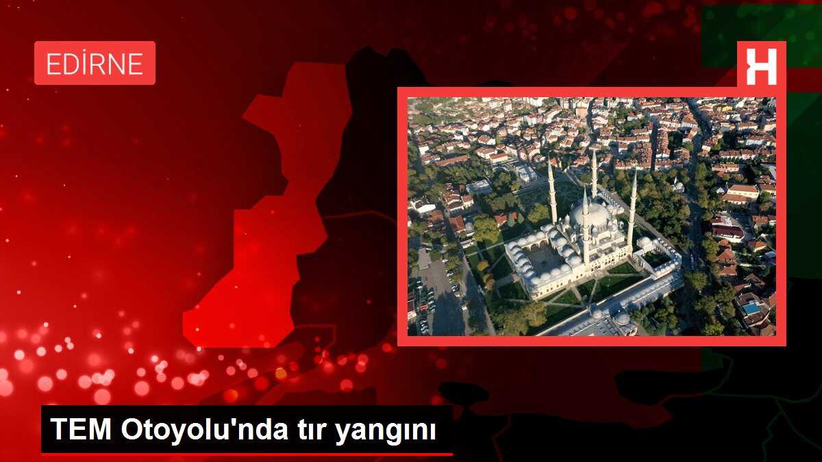TEM Otoyolu'nda tır yangını