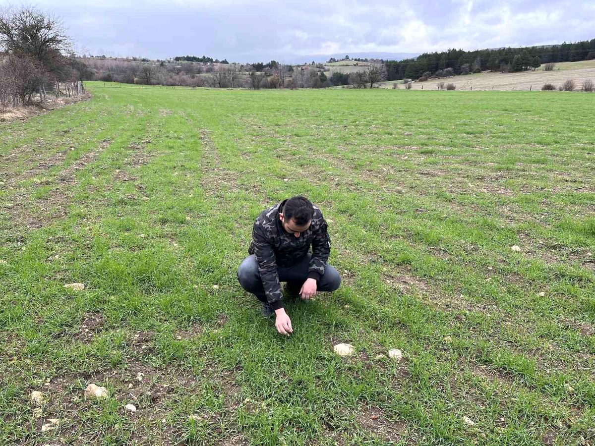 12 bin yıllık siyeze genç çiftçi dokunuşu: Ürettiği ürünler büyük ilgi görüyor