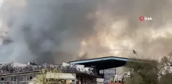 Almanya'da depolama tesisinde yangın: 140 kişi tahliye edildi