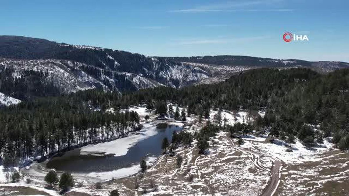 Başkent'te çiçek açan çiğdemlerle bahar yüzünü gösterdi