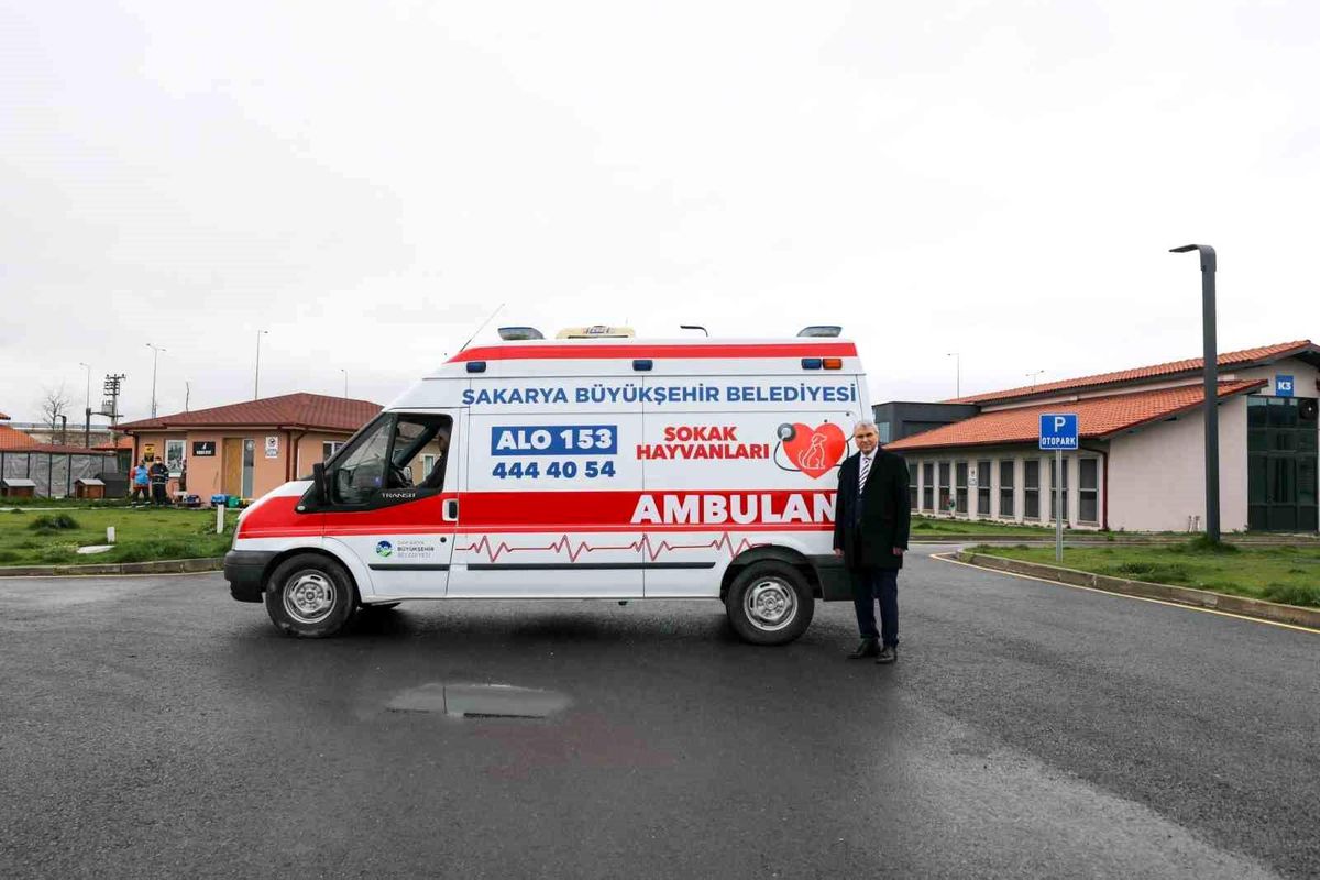 Can dostlar için yeni hizmet: Sokak hayvanları ambulansı