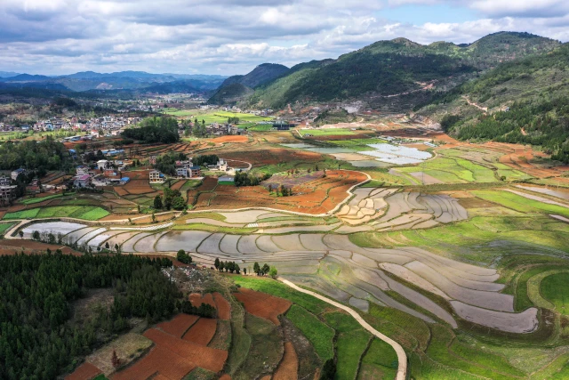 Çin'in 47 Yıllık Çeltik Tohumu Üretim Üssü: Cengong