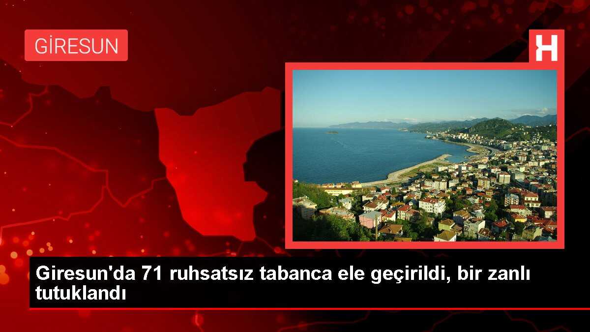 Giresun'da 71 ruhsatsız tabanca ele geçirildi, bir zanlı tutuklandı