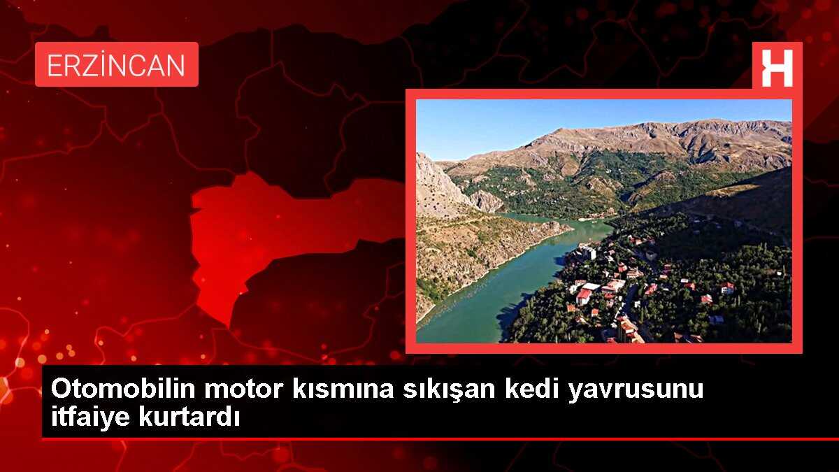 Otomobilin motor kısmına sıkışan kedi yavrusunu itfaiye kurtardı