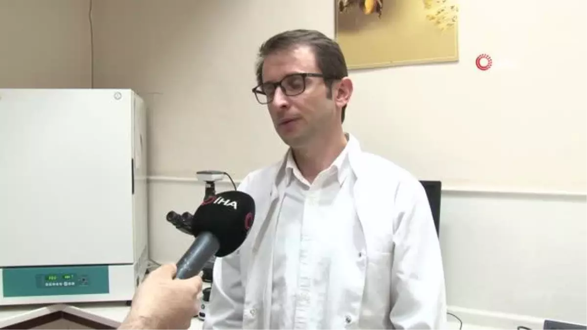 Uzmanlardan arıların ilkbahar bakımı için \'kritik\' uyarı