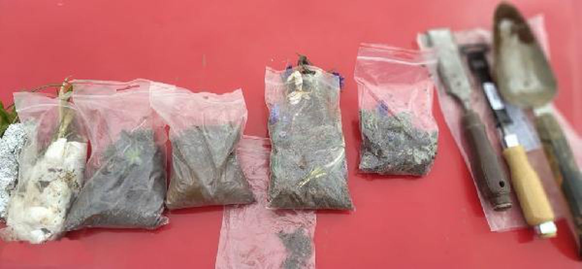 2 Slovakyalıya, biyoçeşitliliğe zarar vermekten 488 bin TL ceza