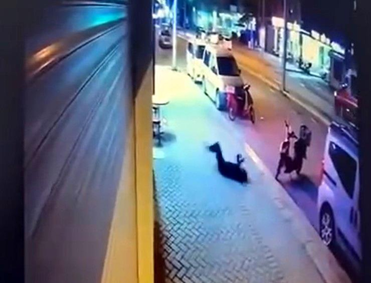 Camdan düşerek ölen kadının sevgiline ağırlaştırılmış müebbet hapis talebi