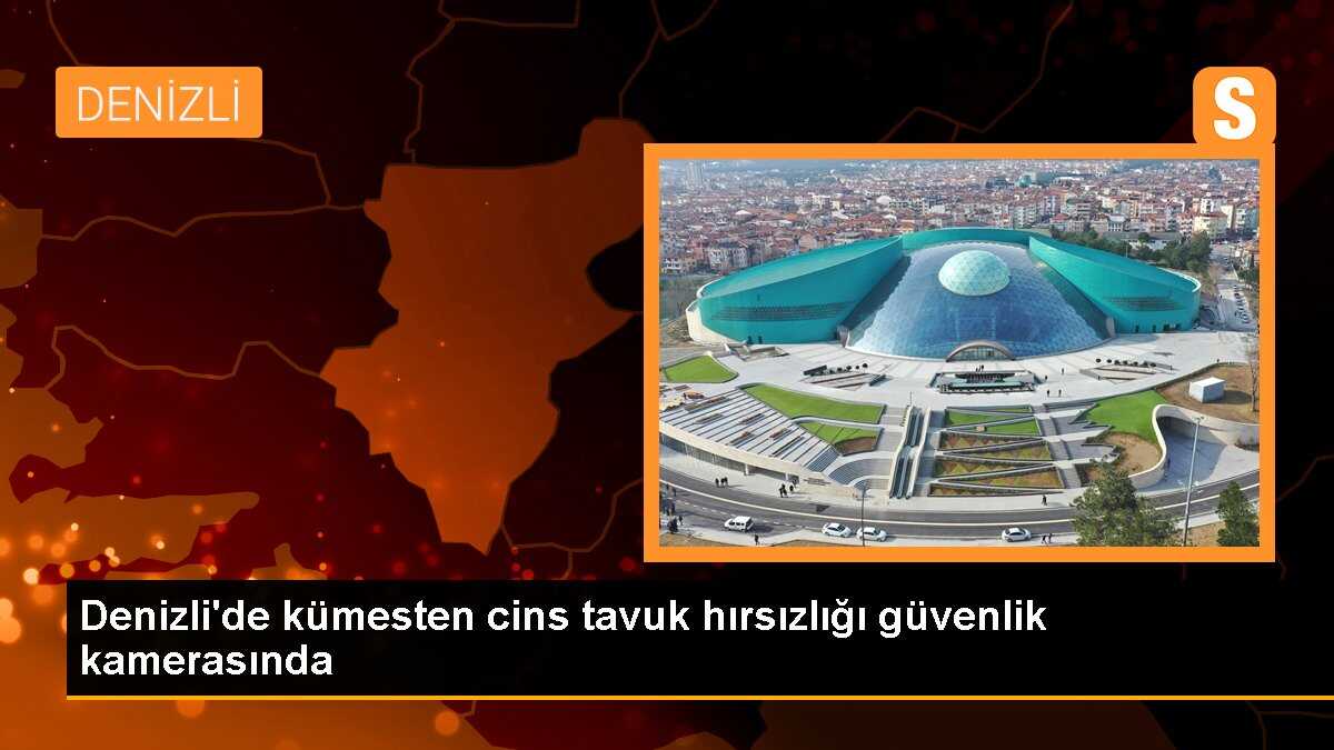 Denizli\'de kümesten cins tavuk hırsızlığı güvenlik kamerasında