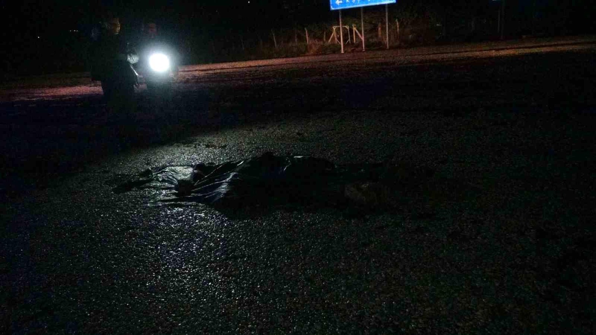 Malatya\'da tırın çarptığı yaya hayatını kaybetti