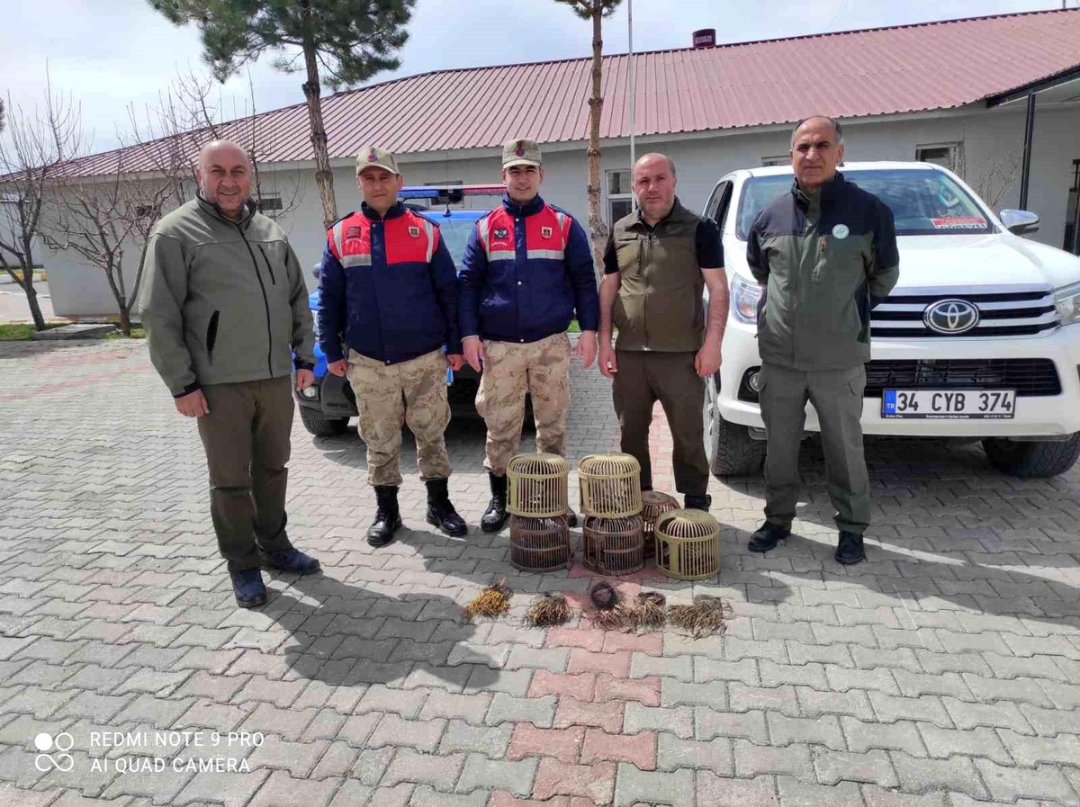 Van\'da kafes avcılığı yapan 4 kişi jandarmaya takıldı