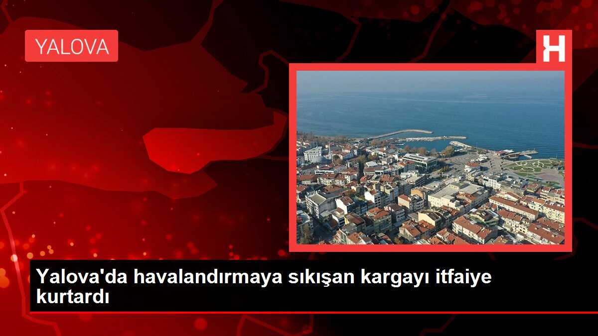 Yalova'da havalandırmaya sıkışan kargayı itfaiye kurtardı