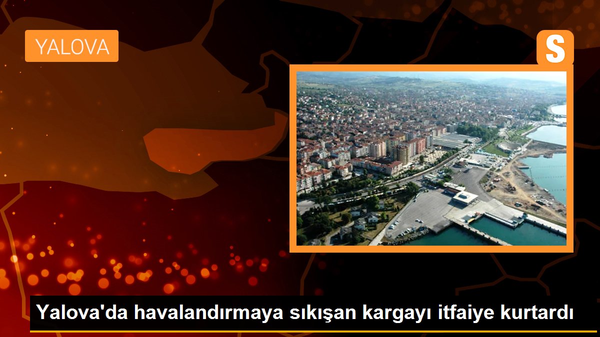 Yalova\'da havalandırmaya sıkışan kargayı itfaiye kurtardı