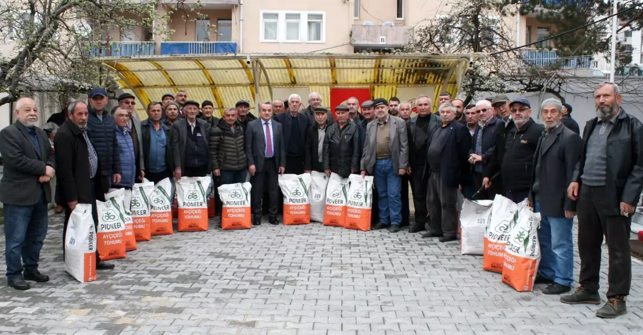 Bozüyük\'te çiftçilere ayçiçeği tohumu dağıtıldı