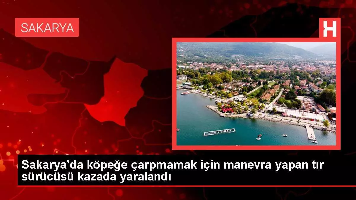 Sakarya'da köpeğe çarpmamak için manevra yapan tır sürücüsü kazada yaralandı
