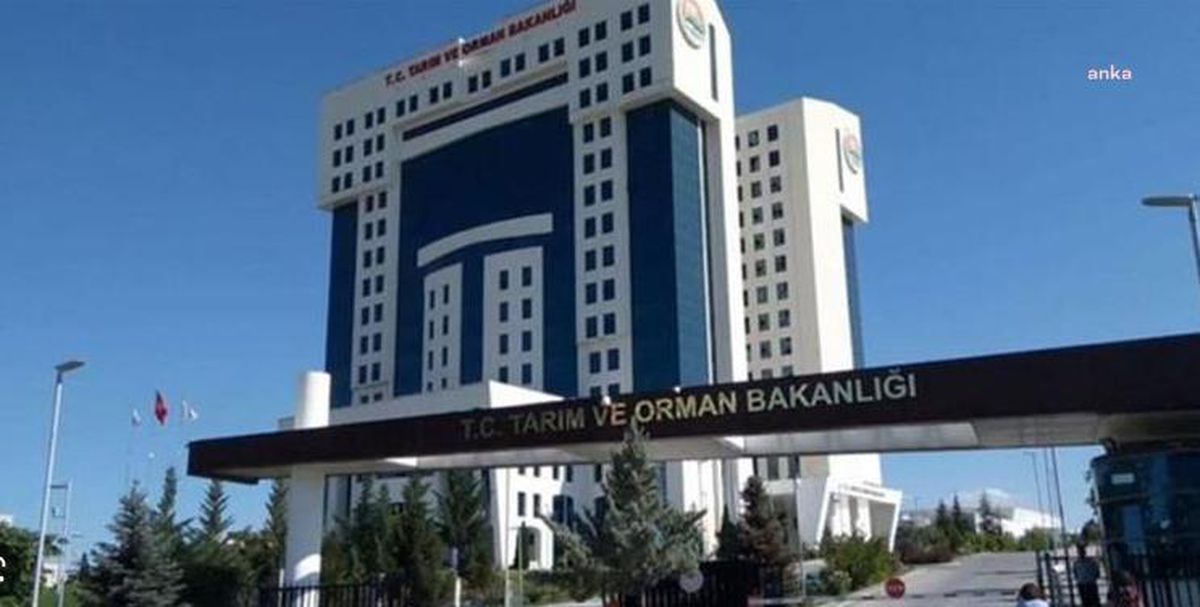 Tarım ve Orman Bakanlığı: "Üretilen Soğan Miktarı, Halkımızın İhtiyacını Fazlasıyla Karşılayacak Seviyededir"