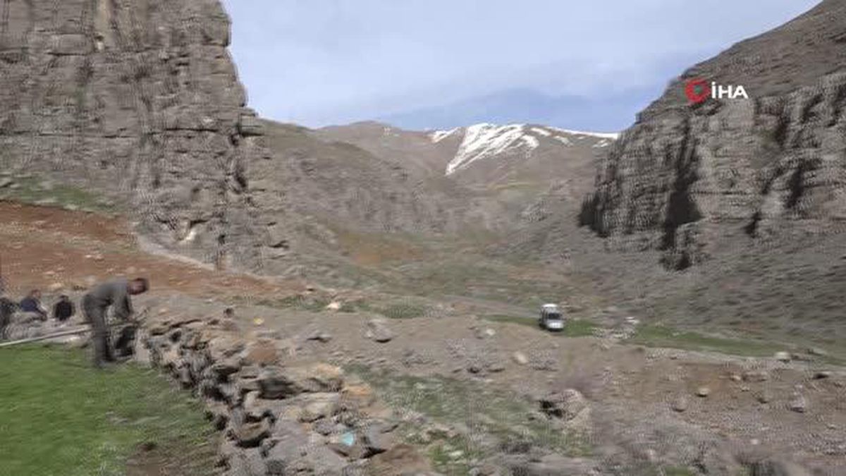 Terörün yerini huzura bıraktığı yaylalar şenlendi, besiciler yaylada çadır açmaya başladı