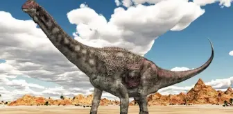 Avustralya'da büyük keşif! Dinozor kafatası fosilinin neredeyse tamamı bulundu