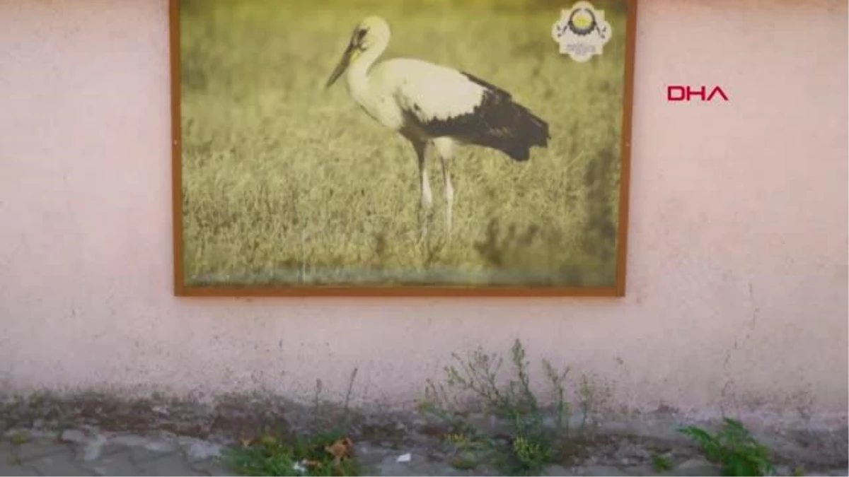 BALIKÇI İLE YAREN LEYLEĞİN DOSTLUĞU, ŞARKI VE KLİBE DE KONU OLDU