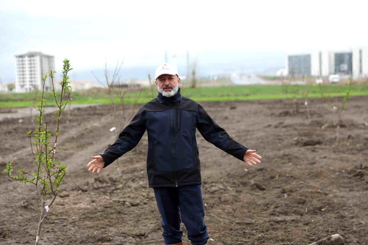 Kocasinan\'da 900 meyve fidanının yer aldığı park açıldı