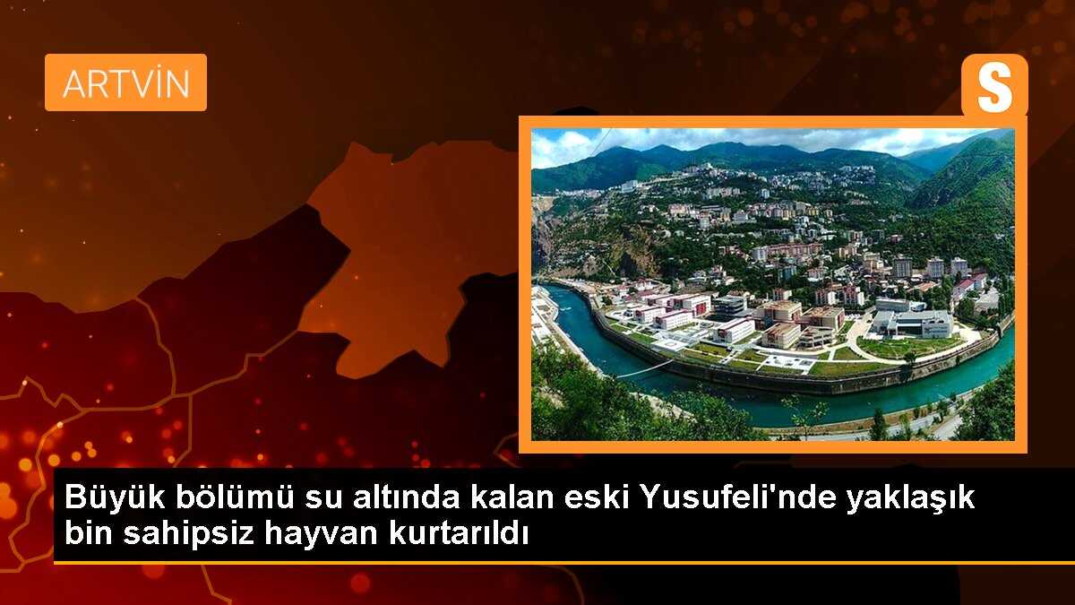 Büyük bölümü su altında kalan eski Yusufeli\'nde yaklaşık bin sahipsiz hayvan kurtarıldı