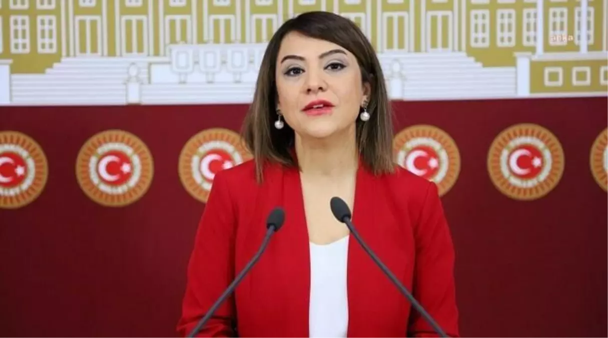 CHP\'li Taşcıer, AKP\'nin Seçim Beyannanmesini Eleştirdi: AKP\'nin ve Erdoğan\'ın Kadınlar Hakkında Ne Yaptığı, Ne Söyledikleri Doğru, Ne de Yapacakları,...