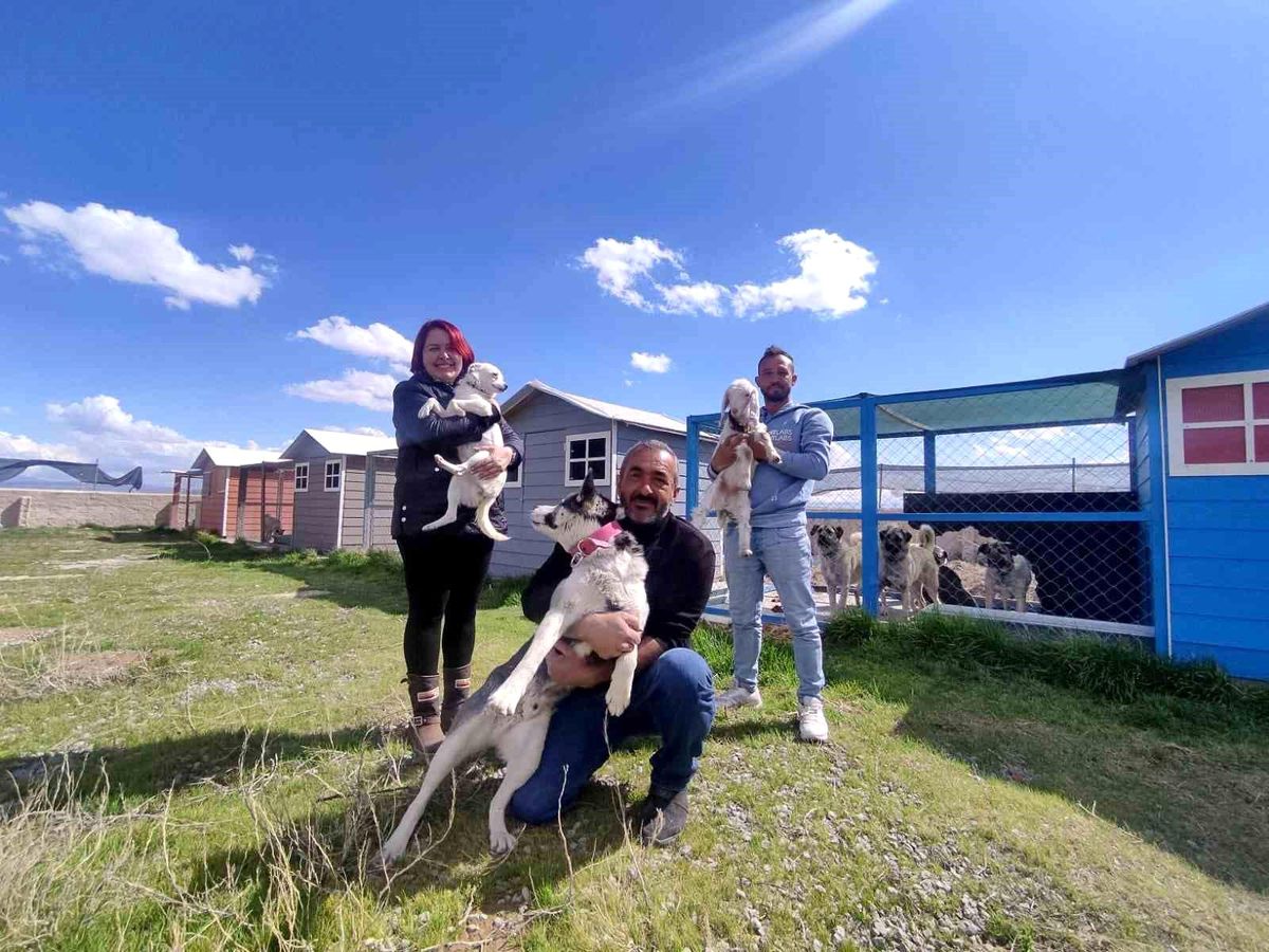 Evinin bahçesini 42 köpekle paylaşıyor