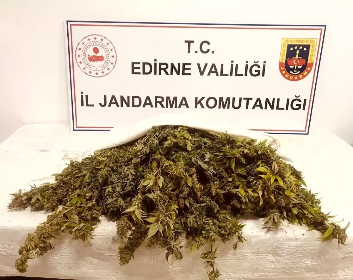 Jandarmadan zehir tacirlerine darbe