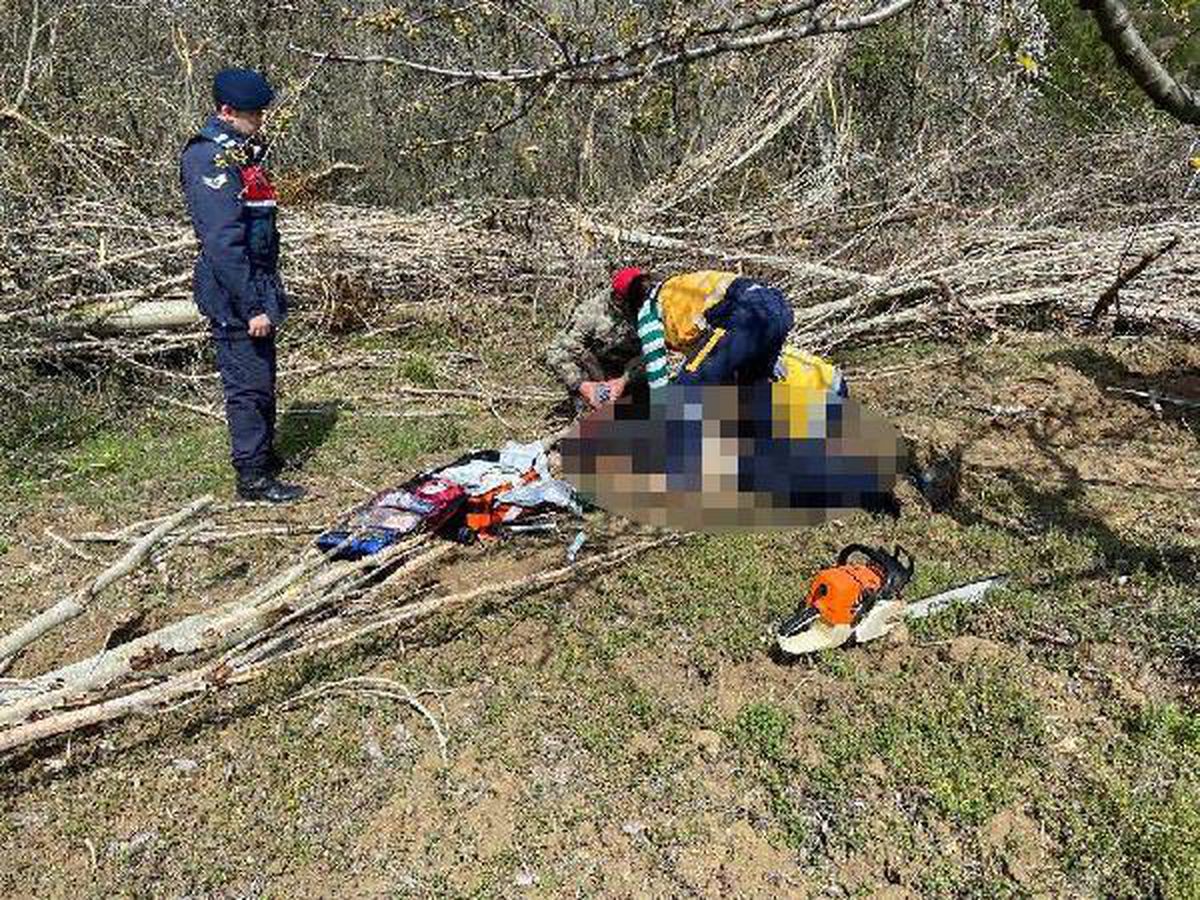 Kavak ağacı devrildi, bir kişi hayatını kaybetti