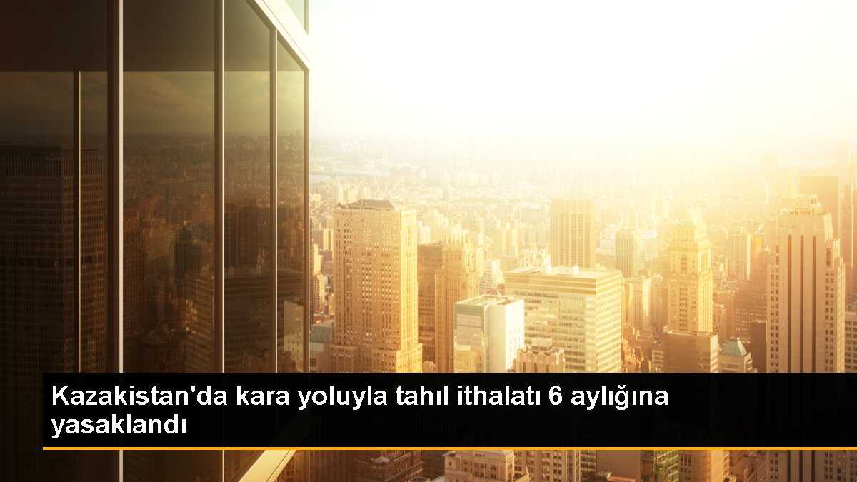 Kazakistan\'da kara yoluyla tahıl ithalatı 6 aylığına yasaklandı