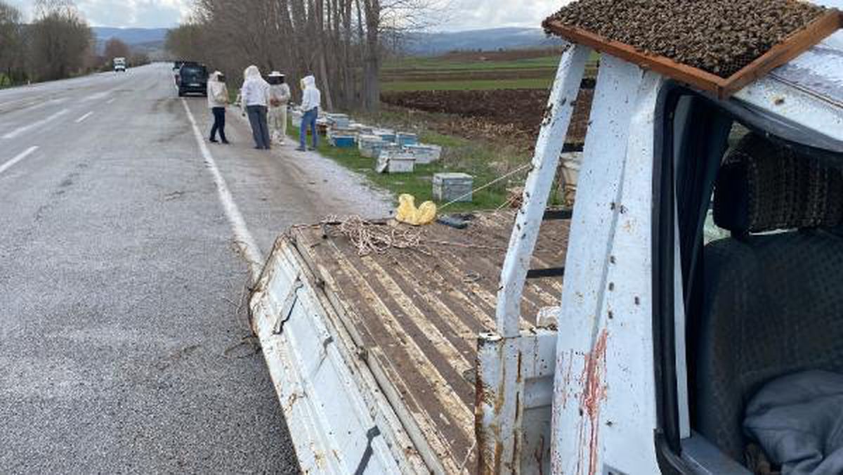 Kovan yüklü kamyonet devrildi; arılar yola saçıldı