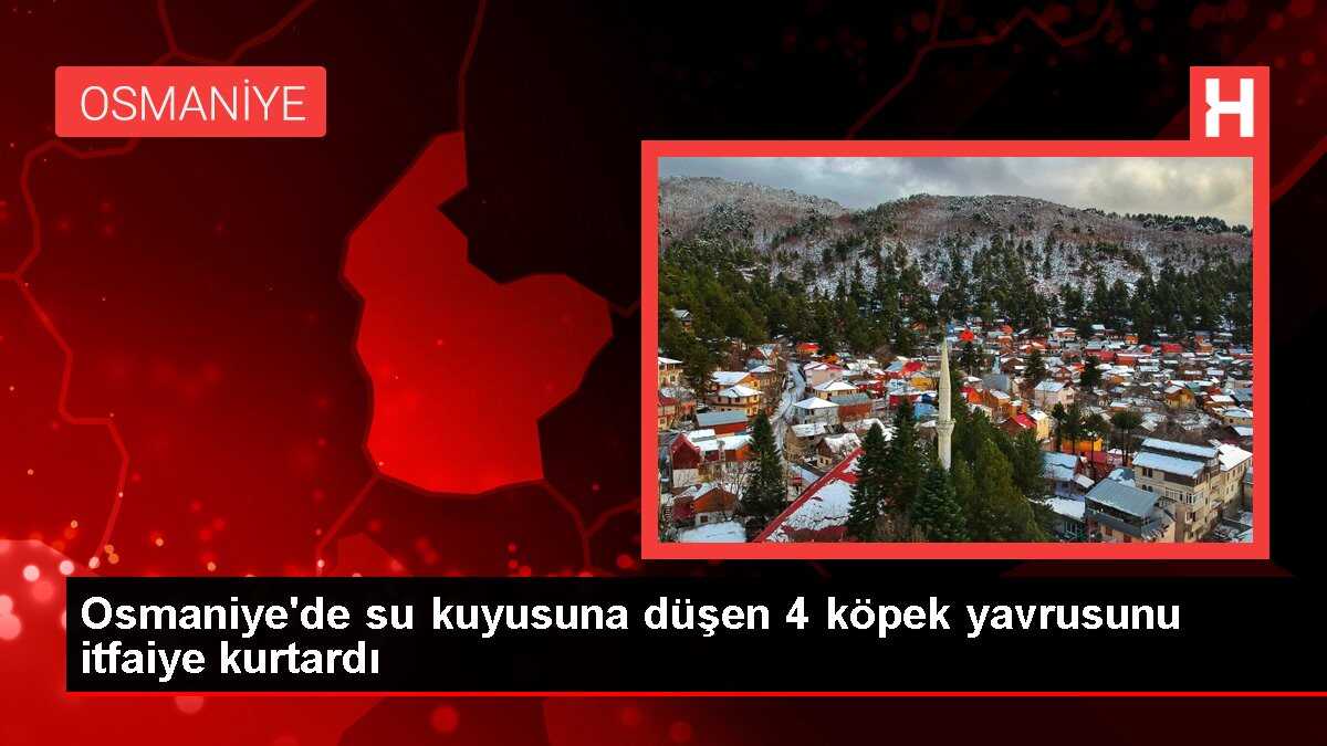 Osmaniye'de su kuyusuna düşen 4 köpek yavrusunu itfaiye kurtardı