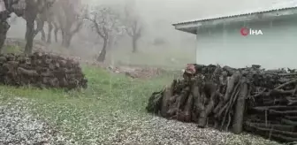 Siirt'i dolu vurdu, mezra beyaza büründü