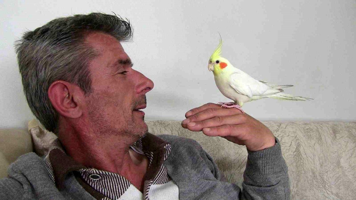 Sultan papağanının siyaset ilgisi dikkat çekiyor