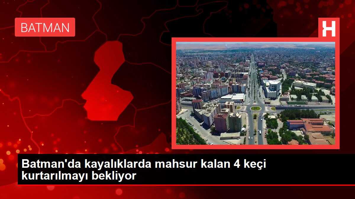 Batman'da kayalıklarda mahsur kalan 4 keçi kurtarılmayı bekliyor