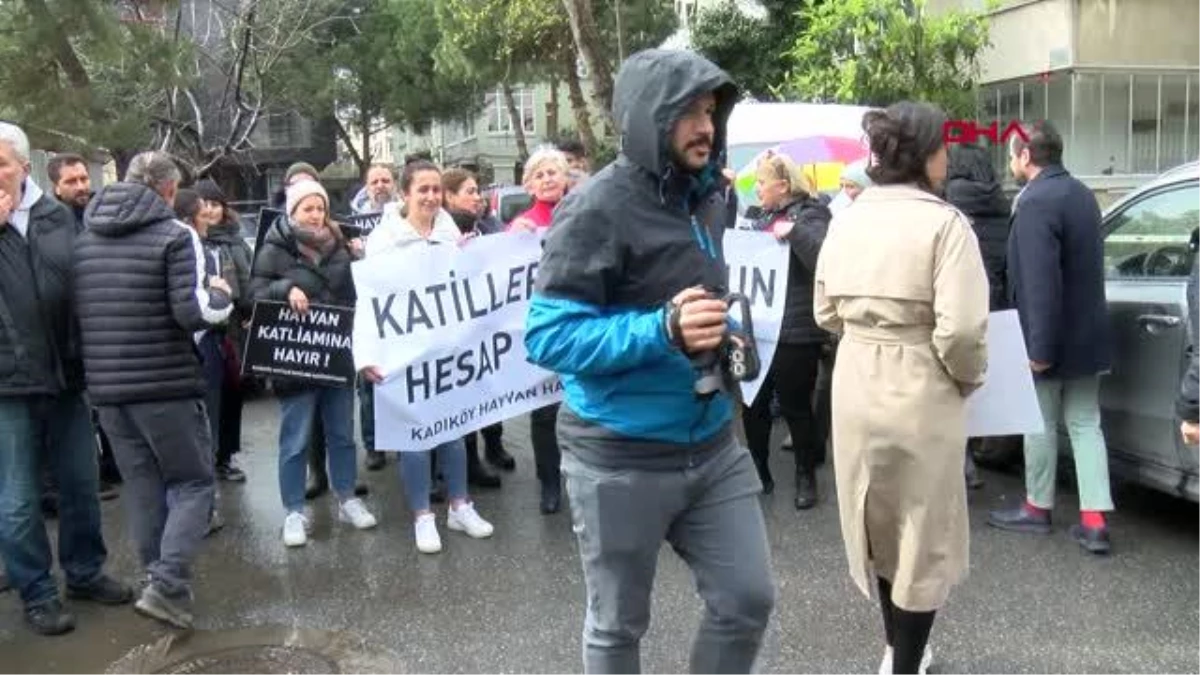 Kadıköy\'de toplu kedi ölümleri için hayvanseverler eylem yaptı