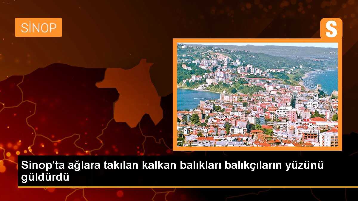 Sinop\'ta ağlara takılan kalkan balıkları balıkçıların yüzünü güldürdü