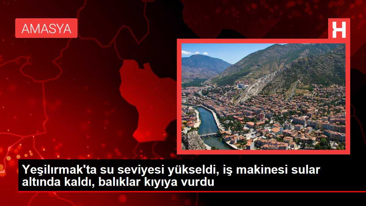 Yeşilırmak'ta su seviyesi yükseldi, iş makinesi sular altında kaldı, balıklar kıyıya vurdu