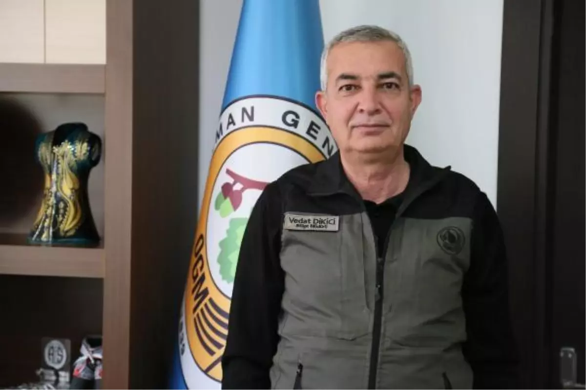 Antalya\'da orman yangınlarına karşı hazırlıklar tamamlandı