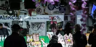 Av yasağı öncesi balıkçılardan uyarı: 'Vatandaşlar ucuz balıkları kaçırmasın'