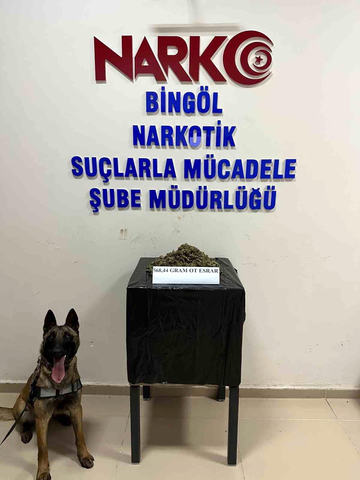 Bingöl\'de uyuşturucu operasyonu