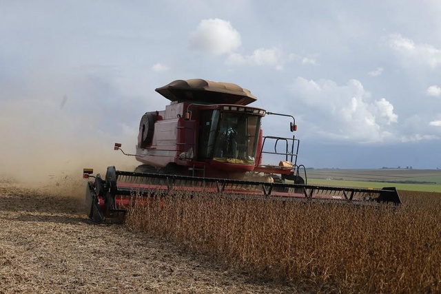Brezilya 2023 İçin Rekor Düzeyde Tahıl Hasadı Bekliyor