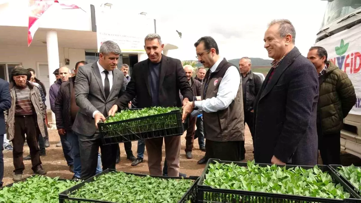 Devlet çiftçiye destek verdi, bağ bahçe sebze fidesiyle dolacak