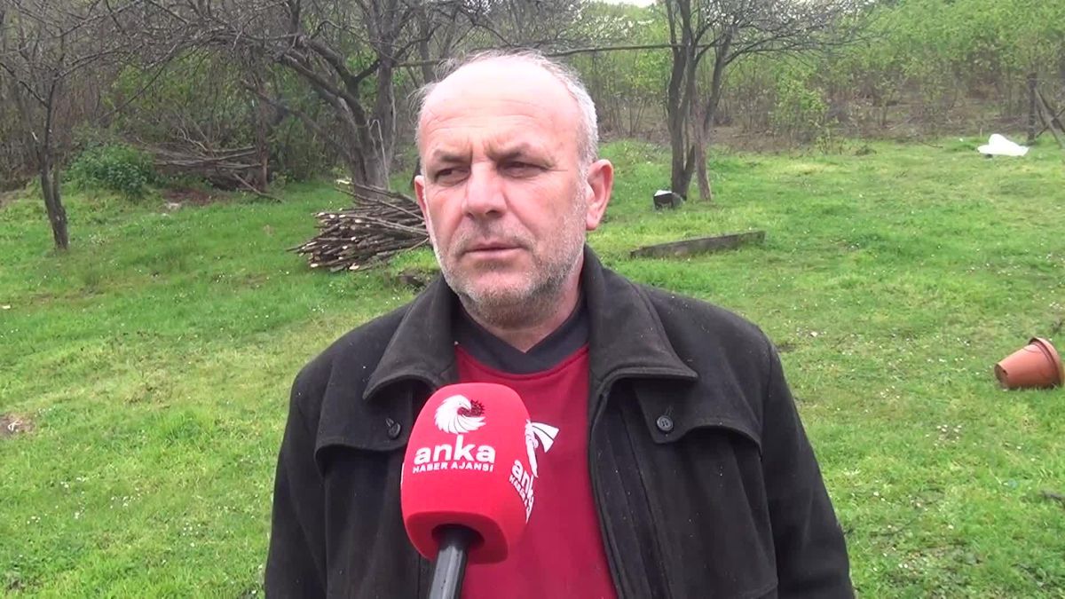 İstanbul'dan Gelip, Sinop'a Yerleşen Besici: 'Büyük Hayallerle Geldik Ama Hiç Randıman Alamadık'