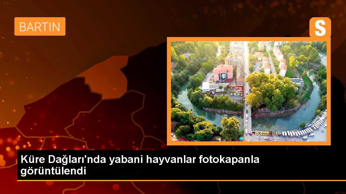 Küre Dağları\'nda yabani hayvanlar fotokapanla görüntülendi