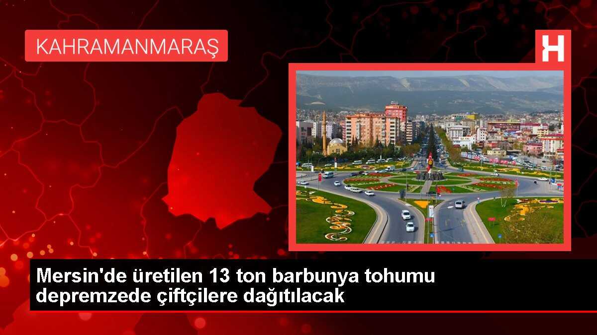 Mersin'de üretilen 13 ton barbunya tohumu depremzede çiftçilere dağıtılacak