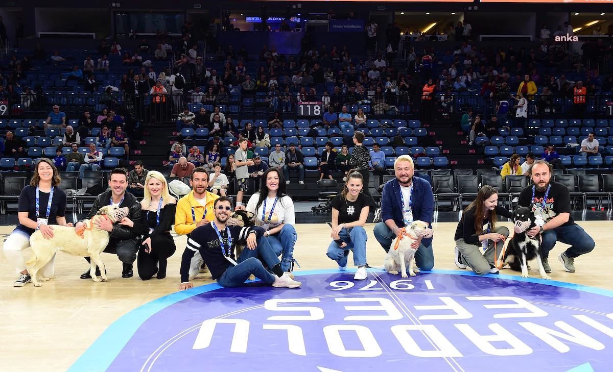 Anadolu Efes, Depremzede Köpekleri Sinan Erdem Spor Salonu\'nda Ağırladı