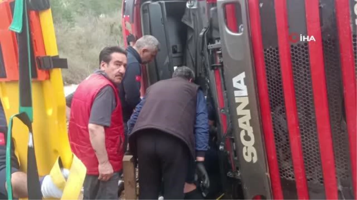 Tavuk gübresi yüklü TIR virajı alamayarak devrildi: 1 yaralı