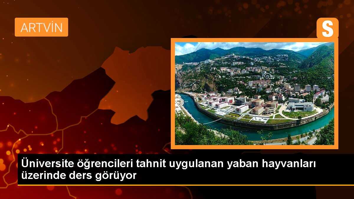 Üniversite öğrencileri tahnit uygulanan yaban hayvanları üzerinde ders görüyor