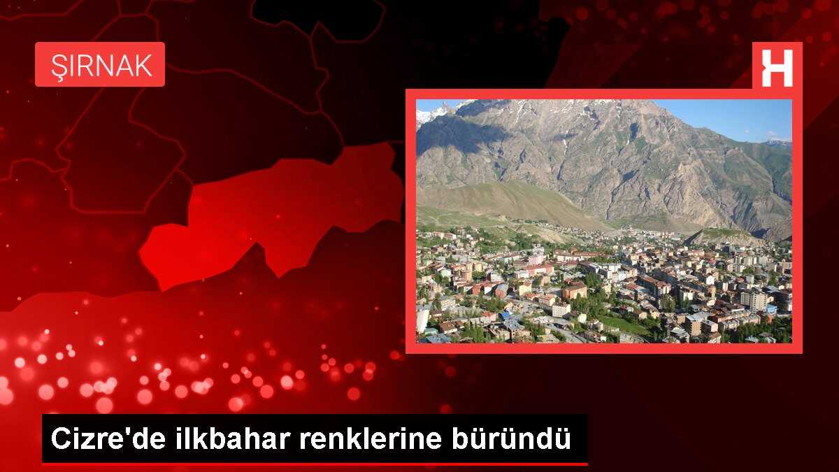 Cizre'de ilkbahar renklerine büründü