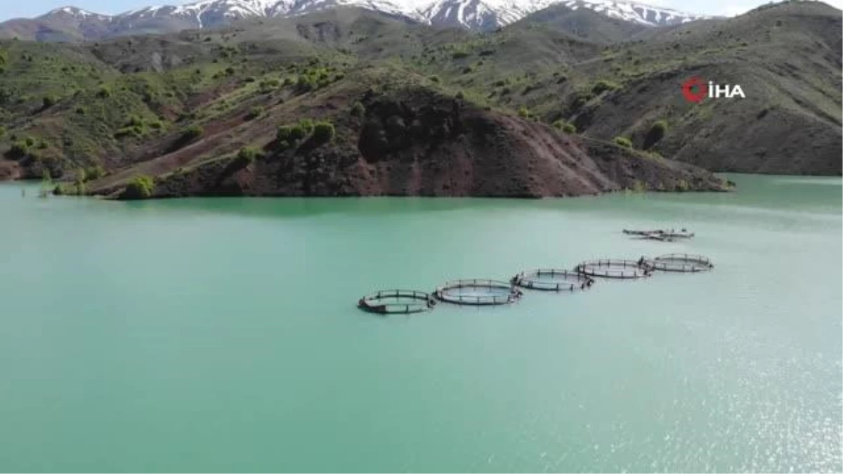 Erimeye başlayan kar suları barajlara bereket oldu